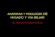 ANATOMIA Y FISIOLO GIA DE HIGADO Y VIA BILIAR Dr. Marcos A Velasco Pérez