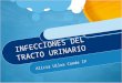 INFECCIONES DEL TRACTO URINARIO Alicia Ulloa Conde IP