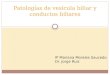 Patologías de vesícula biliar y conductos biliares IP Mariana Morales Saucedo Dr. Jorge Ruiz