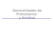 Generalidades de Protozoarios y Amebas. Célula Eucariota vs Célula Procariota Célula Procariota - sin membrana nuclear - un cromosoma circular (DNA +