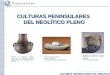 CULTURAS PENINSULARES DEL NEOLÍTICO PLENO Cántaro de cerámica neolítico. Cueva de L'Or (Alicante). Imagen: Página oficial del Ayuntamiento de Beniarrés