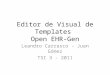 Editor de Visual de Templates Open EHR-Gen Leandro Carrasco - Juan Gómez TSI 3 - 2011
