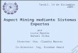 Aspect Mining mediante Sistemas Expertos por Lucía Masola Nahuel Sliba Director: Dra. Claudia Marcos Co-Director: Ing. Esteban Abait Tandil, 14 de Diciembre