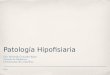 Fecha Patología Hipofisiaria Dra. Michelle González Rojas Escuela de Medicina Universidad de Costa Rica
