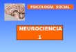 PSICOLOGÍA SOCIAL NEUROCIENCIA 1. PSICOLOGÍA SOCIAL Sergio Bórquez ¿Qué es la Neurociencia? Es el estudio científico del Sistema Nervioso. Incluye diversas
