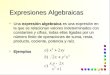 1 Expresiones Algebraicas Una expresión algebraica es una expresión en la que se relacionan valores indeterminados con constantes y cifras, todas ellas