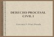 DERECHO PROCESAL CIVIL I Giovanni F. Priori Posada