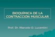 BIOQUÍMICA DE LA CONTRACCIÓN MUSCULAR Prof. Dr. Marcelo O. Lucentini
