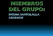 FATIMA SANTOLALLA AZARAGH MIEMBROS DEL GRUPO: Curso 2011-12