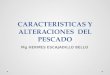 CARACTERISTICAS Y ALTERACIONES DEL PESCADO Mg HERMES ESCAJADILLO BELLO