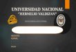 UNIVERSIDAD NACIONAL HERMILIO VALDIZAN INGENIERÍA INDUSTRIAL