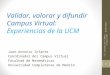 Validar, valorar y difundir Campus Virtual: Experiencias de la UCM Juan-Antonio Infante Coordinador del Campus Virtual Facultad de Matemáticas Universidad