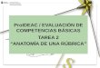 ProIDEAC / EVALUACIÓN DE COMPETENCIAS BÁSICAS TAREA 2 ANATOMÍA DE UNA RÚBRICA