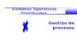 Sistemas Operativos Distribuidos Gestión de procesos