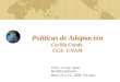 Políticas de Adaptación Cecilia Conde. CCA- UNAM CVCC. Primer Taller Multidisciplinario. Mayo 21 y 22, 2008. Cocoyoc