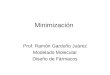 Minimización Prof. Ramón Garduño Juárez Modelado Molecular Diseño de Fármacos