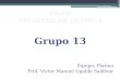 Grupo 13 Equipo: Platino Prof. Víctor Manuel Ugalde Saldívar