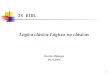 1 IX EIDL Lógica clásica-Lógicas no clásicas Teresita Mijangos 09.11.2006