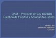 Caracterización general del CAM en aspectos relacionados CAM – PAL: opciones a priori y enfoque elegido CAM: implicaciones para el régimen PAL (territorio