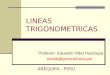 LINEAS TRIGONOMETRICAS Profesor: Eduardo Vidal Huarcaya evidal@prescott.edu.pe AREQUIPA - PERU