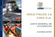 Www.goldfields.com.pe GOLD FIELDS LA CIMA S.A. 15 de Marzo de 2010 JUNTA GENERAL DE ACCIONISTAS