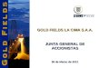GOLD FIELDS LA CIMA S.A.A. 30 de Marzo de 2011 JUNTA GENERAL DE ACCIONISTAS
