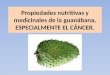 Propiedades nutritivas y medicinales de la guanábana, ESPECIALMENTE EL CÁNCER