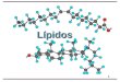 1 Lípidos. 2 Lípidos Lípidos Lípidos: Biomoléculas que constituyen una clase heterogénea de compuestos orgánicos, cuya propiedad común es la solubilidad