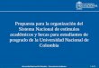 1 de 24 Universidad Nacional de Colombia – Vicerrectoria Académica Propuesta para la organización del Sistema Nacional de estímulos académicos y becas