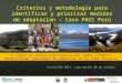 Un modelo de gestión participativa del Cambio Climático Desarrollando capacidades de adaptación en los Andes Peruanos Criterios y metodología para identificar