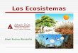 Los Ecosistemas Ángel Encinas Barcenilla. Conjunto de componentes vivos (animales y vegetales) y no vivos (medio físico, aire, minerales, agua, etc.)