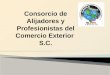 Consorcio de Alijadores y Profesionistas del Comercio Exterior S.C