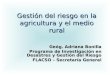 Gestión del riesgo en la agricultura y el medio rural Geóg. Adriana Bonilla Programa de Investigación en Desastres y Gestión del Riesgo FLACSO – Secretaría
