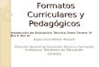 Formatos Curriculares y Pedagógicos Inspección de Educación Técnica Zona Centro III Río II Río III Supervisora Miriam Macaño Dirección General de Educación