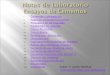 Autor: F. Javier Bardisa  I. Cementos: composición Cementos: composición II. Pasta de consistencia normal Pasta de consistencia