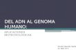 DEL ADN AL GENOMA HUMANO: APLICACIONES BIOTECNOLÓGICAS. Anaïs Claudio Verde 2n BAT CT1