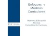 Enfoques y Modelos Curriculares Maestría Educación Técnica Curso Diseño Curricular