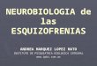 NEUROBIOLOGIA de las ESQUIZOFRENIAS ANDREA MARQUEZ LOPEZ MATO INSTITUTO DE PSIQUIATRIA BIOLOGICA INTEGRAL 