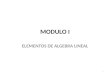 MODULO I ELEMENTOS DE ALGEBRA LINEAL 1. SISTEMAS DE ECUACIONES LINEALES El estudio de los sistemas de Ecuaciones Lineales y sus soluciones es uno de los