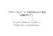 PICADURAS Y MORDEDURAS DE ANIMALES Eduardo Martínez Mosteiro Rubén Santamaría Alonso