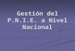 Gestión del P.N.I.E. a Nivel Nacional. La articulación del P.N.I.E y la Dirección Nacional de Programas Compensatorios Coordinación General del Programa