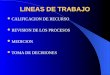 LINEAS DE TRABAJO CALIFICACION DE RECURSO REVISION DE LOS PROCESOS MEDICION TOMA DE DECISIONES