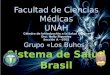 Facultad de Ciencias Médicas UNAH Cátedra de introducción a la Salud Pública Dra. Nelly Figueroa Sección A – 0701 Grupo «Los Buhos» Sistema de Salud Brasil