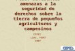 Perú: Diferentes amenazas a la seguridad de derechos sobre la tierra de pequeños agricultores y campesinos CEPES Lima, PERÚ 2007