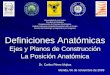 Definiciones Anatómicas Ejes y Planos de Construcción La Posición Anatómica Dr. Carlos Pérez Mujica Universidad de Los Andes Facultad de Medicina Departamento