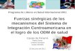 Fuerzas sinérgicas de los mecanismos del Sistema de Integración Centroamericana en el logro de los ODM de salud Equipo de Panamá Marta Pérez Lorenzo Barraza