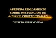 APRUEBA REGLAMENTO SOBRE PREVENCION DE RIESGOS PROFESIONALES DECRETO SUPREMO Nº 40