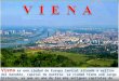 Viena es una ciudad de Europa Central situada a orillas del Danubio, capital de Austria. La ciudad tiene una larga historia, ya que es una de las más