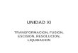 UNIDAD XI TRANSFORMACION, FUSION, ESCISION, RESOLUCION, LIQUIDACION