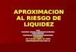 APROXIMACION AL RIESGO DE LIQUIDEZ POR RICARDO DAVILA LADRON DE GUEVARA UNES/IER/EAR PONTIFICIA UNIVERSIDD JAVERIANA COOPEBIS 25 Y 26 DE ABRIL de 2008